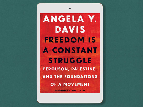 freedom-is-a-constant-struggle-ferguson-palestine-and-the-foundations-of-a-movement-by-angela-y-davis-pdf.jpg