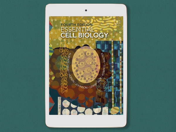 essential-cell-biology-4th-edition-by-bruce-alberts-isbn-978-0815344544-digital-book-download-pdf.jpg