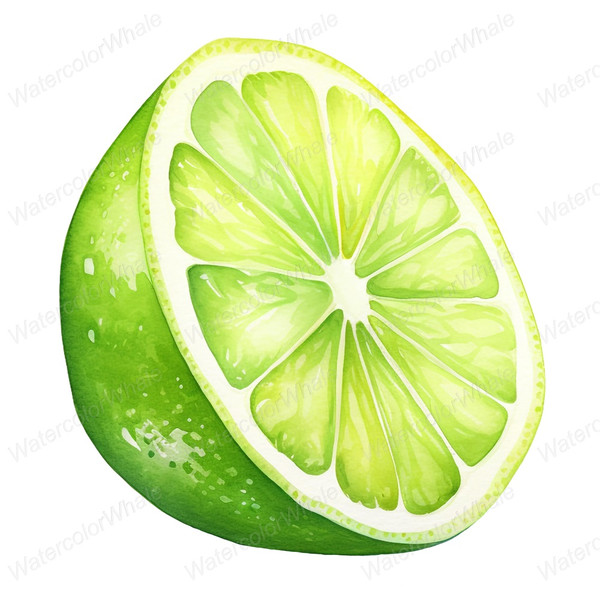 5-cut-open-half-lime-clipart-png-transparent-background-illustrations.jpg