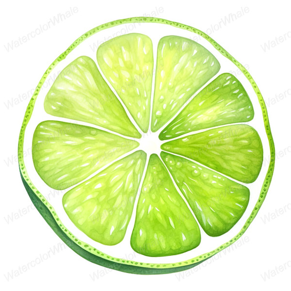 8-slice-of-lime-clipart-transparent-background-png-garnish-pictures.jpg