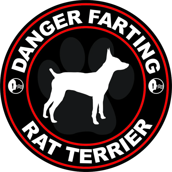 Danger Farting Rat Terrier Sticker Self Adhesive Vinyl dog canine pet - C815.png