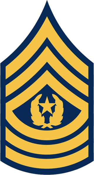 E-9 Command Sergeant Major Insignia Sticker Self Adhesive Vinyl us army - C2047.png