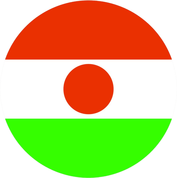 National Squadron of Niger Roundel Sticker Self Adhesive Vinyl Nigerien NER NE - C2171.png