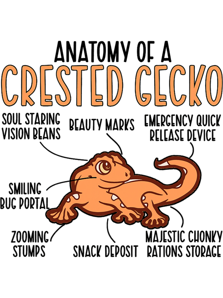 Gecko Lover Anatomy Of A Crested Gecko Owner Crestie Lover.png
