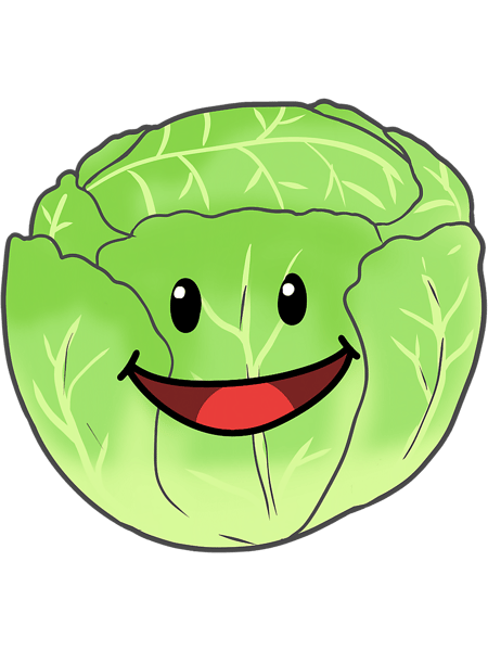 Salad cuisine cabbage cooking iceberg lettuce vegetable.png