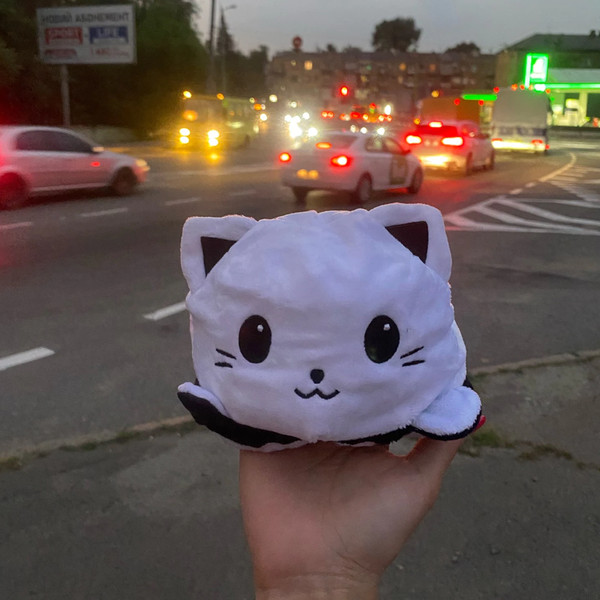 Super Cute Reversible Cartoon Cat Plushie (3).jpg