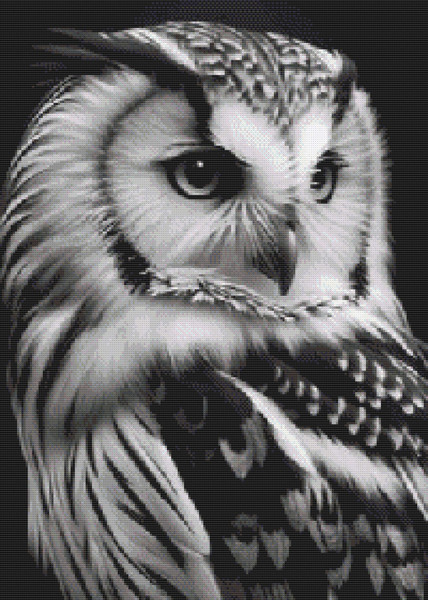 BlackandWhite Owl1 stitched.jpg