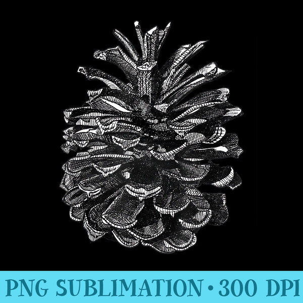 Conifer Pine Cone Woodland Walk Drawing - PNG Clipart Download - Perfect for Personalization