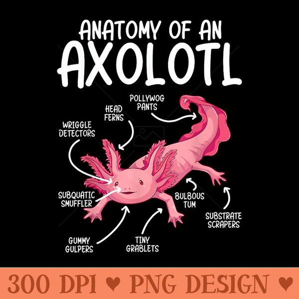 Axolotl Anatomy of Axolotl Science Pet Axolotl Lover - Vector PNG Clipart - Premium Quality PNG Artwork
