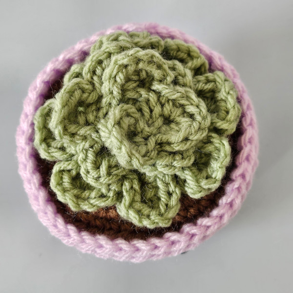 Crochet Small Succulent in Lavender Pot 2.jpg