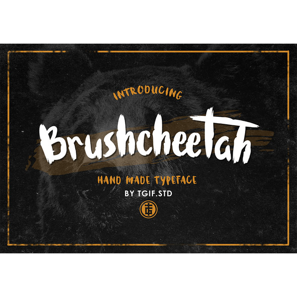 Brushcheetah-Font.jpg