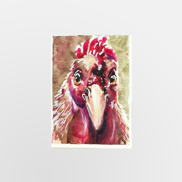 crazy chicken aceo.jpg