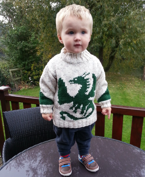 Jack in his dragon sweater (2018_09_10 12_51_24 UTC).jpg