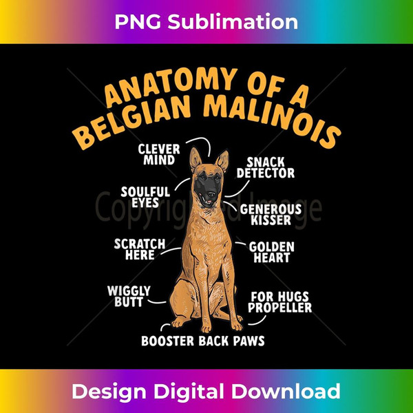 Anatomy Of A Belgian Malinois Belgian Shepherd Malinois - Premium Sublimation Digital Download