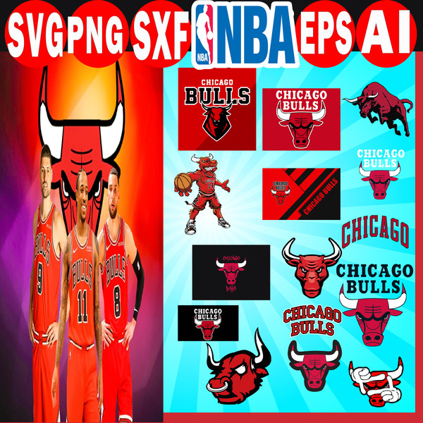 chicago bulls.jpg