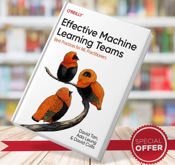 Effective Machine Learning Teams - David Tan.jpg