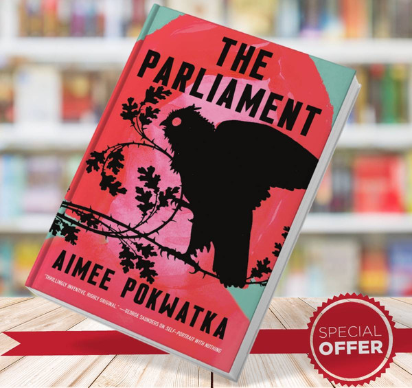 The Parliament - Aimee Pokwatka.jpg