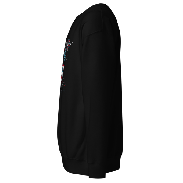 unisex-premium-sweatshirt-black-left-664d7d6a1407a.png