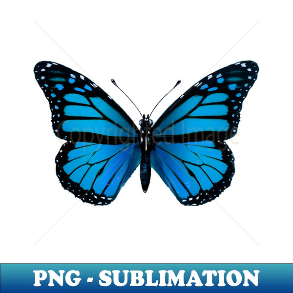 Blue Butterfly - Premium PNG Sublimation File