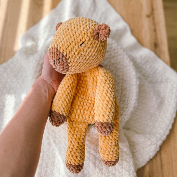 crochet pattern capybara.jpg