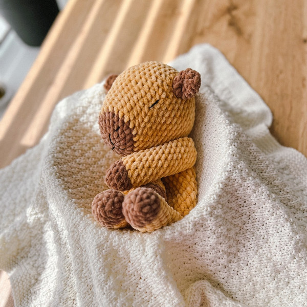 crochetcapybara.jpg