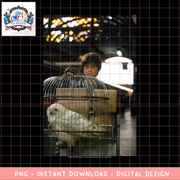 Harry Potter And Hedwig Platform 9 34 Poster PNG Download copy.png