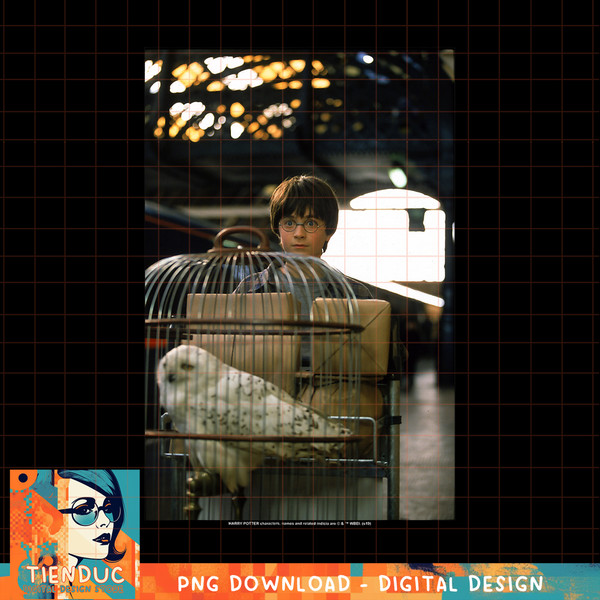 Harry Potter And Hedwig Platform 9 34 Poster PNG Download.jpg