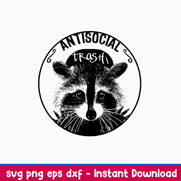 Raccoon Anti Social Svg, Raccoon  Svg, Png Dxf Eps File.jpeg