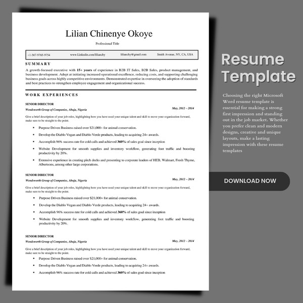 Resume cv template rgdv.jpg