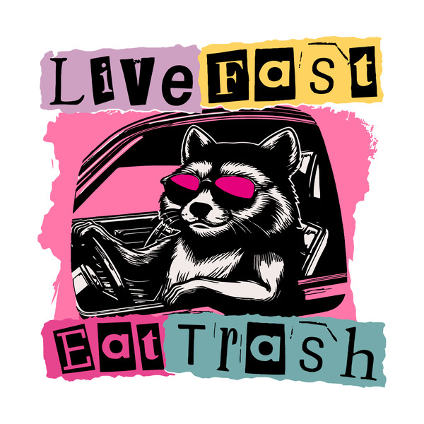 Live-Fast-Eat-Trash-unny-Trash-Panda-SVG-2803241091.png