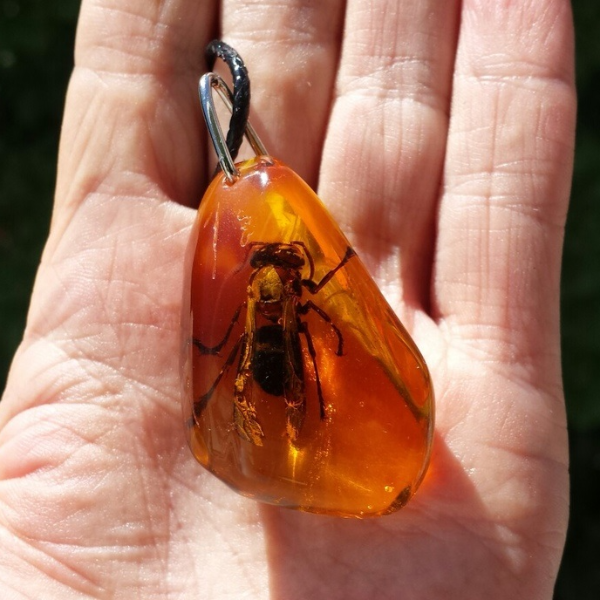 Real insect in Resin Keychain Bee Honey Amber Epoxy Resin Keychain Insect taxidermy in Resin honeybee keyring Nature Key chain Gift to friends  key ring insect