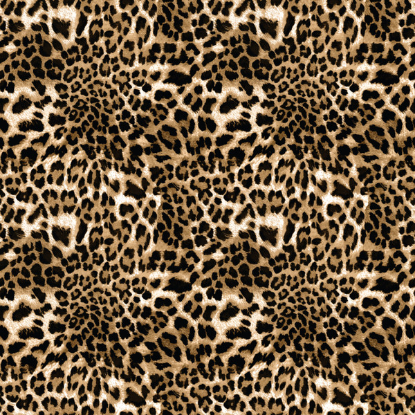 Leopard Print Animal Skin Pattern Women's Rash Guard