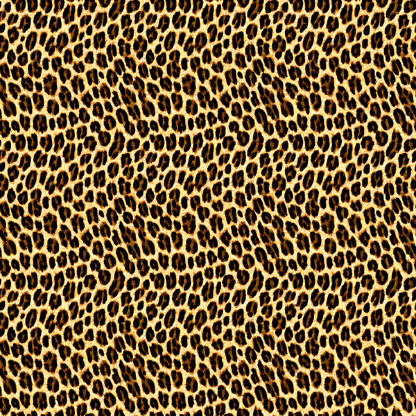 Leopard Skin Animal Print Seamless Pattern Kids Rash Guard