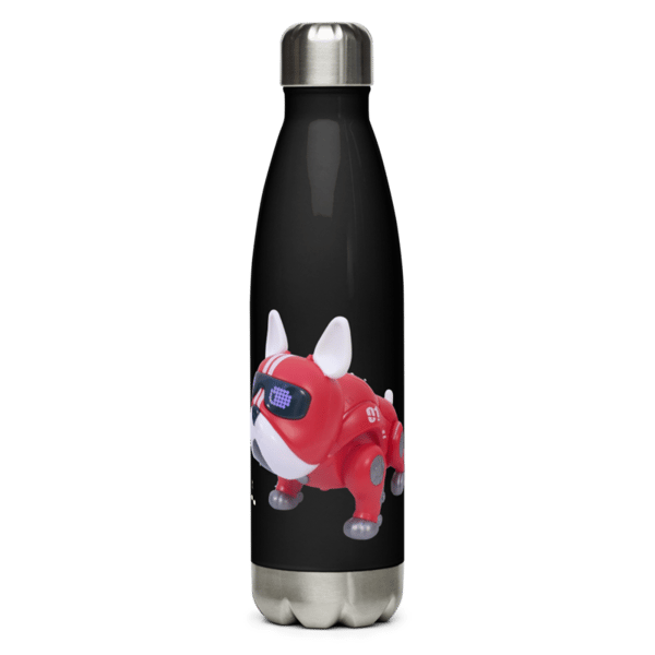 Stainless Steel Water Bottle