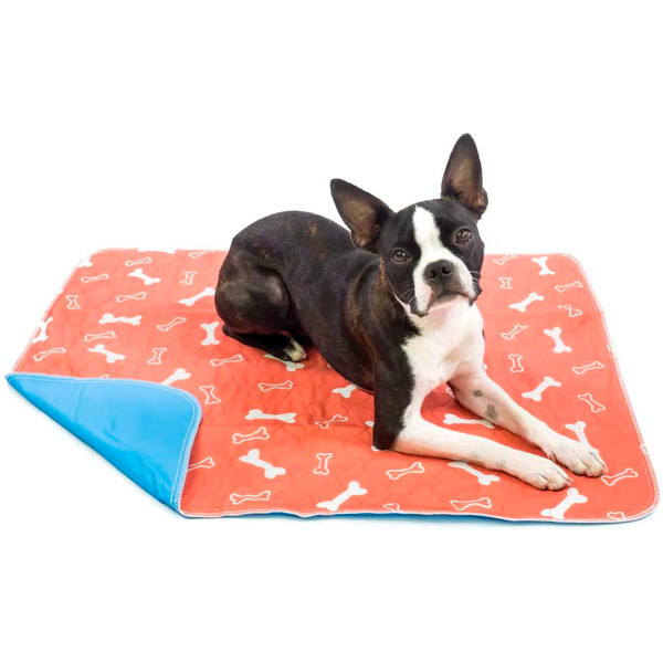 Super Absorption Puppy Pad for Pee & Dirt