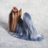 seller profile