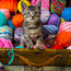 shop cover