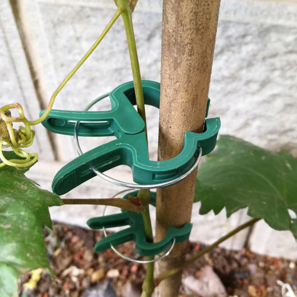 20 Pcs Plastic Plant Support Clips 3