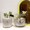 Cartoon Animal Shaped Ceramic Flower Pots 2