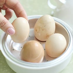 chicken egg cooker for microwave