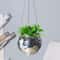 discoballplanter4