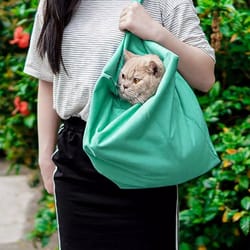 perfect pouch cat carrier - breathable & comfortable cat carry pouch