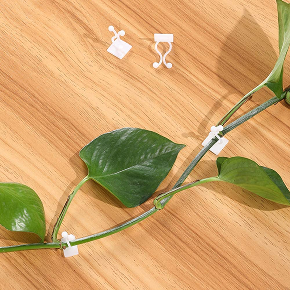 plantclimbingwallfixture1