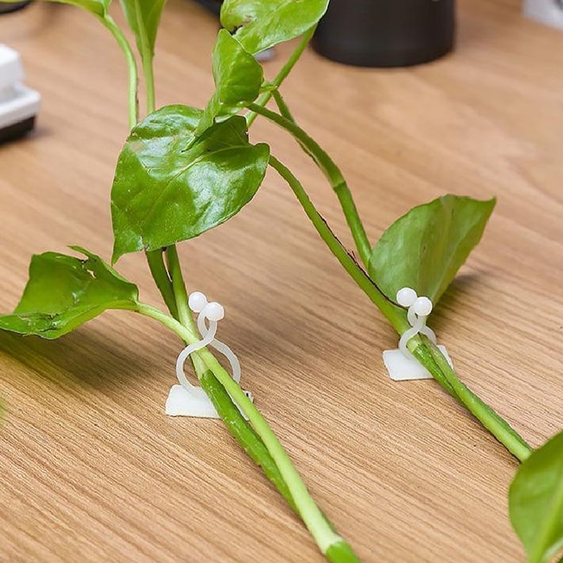 plantclimbingwallfixture3