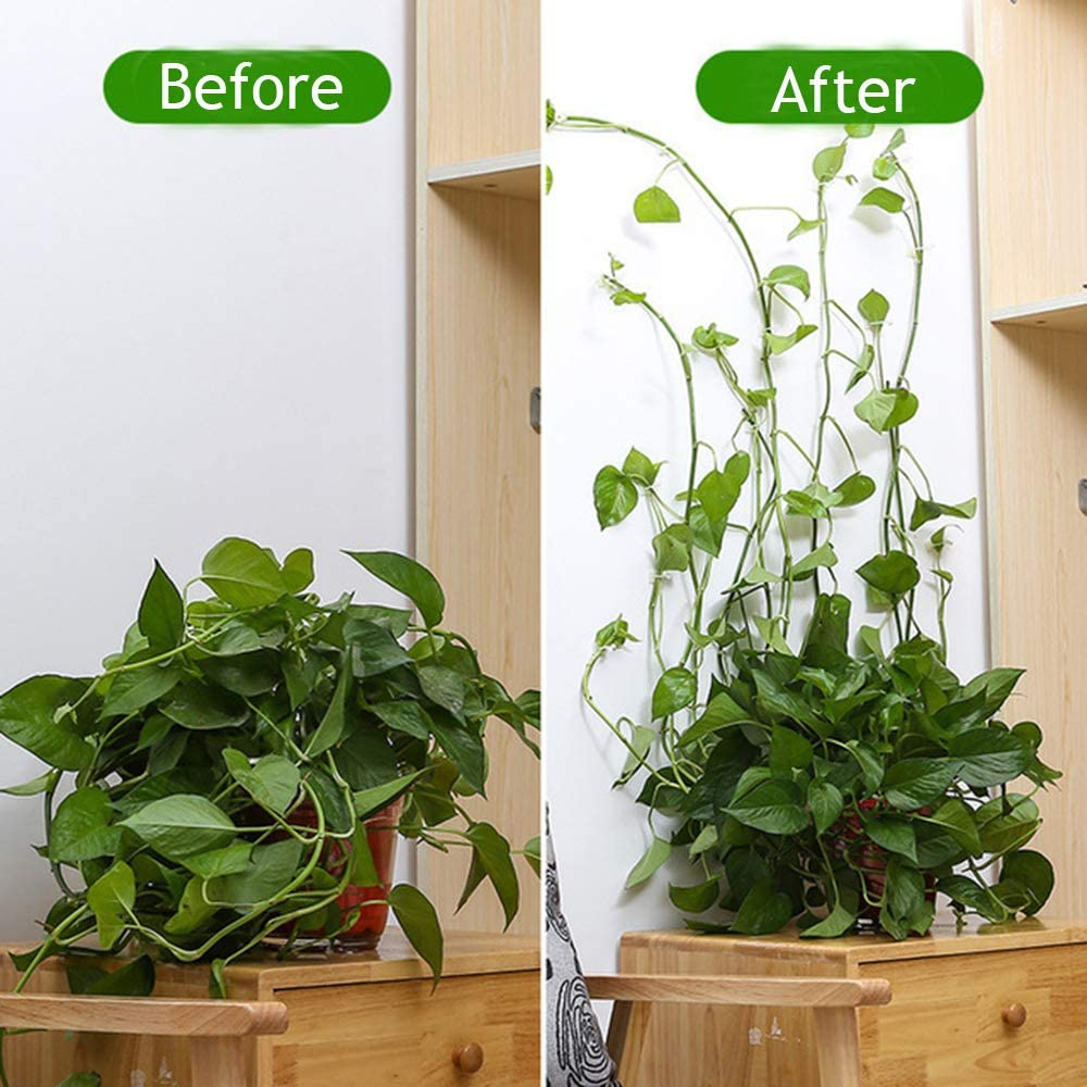 plantclimbingwallfixture4