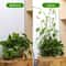 plantclimbingwallfixture4