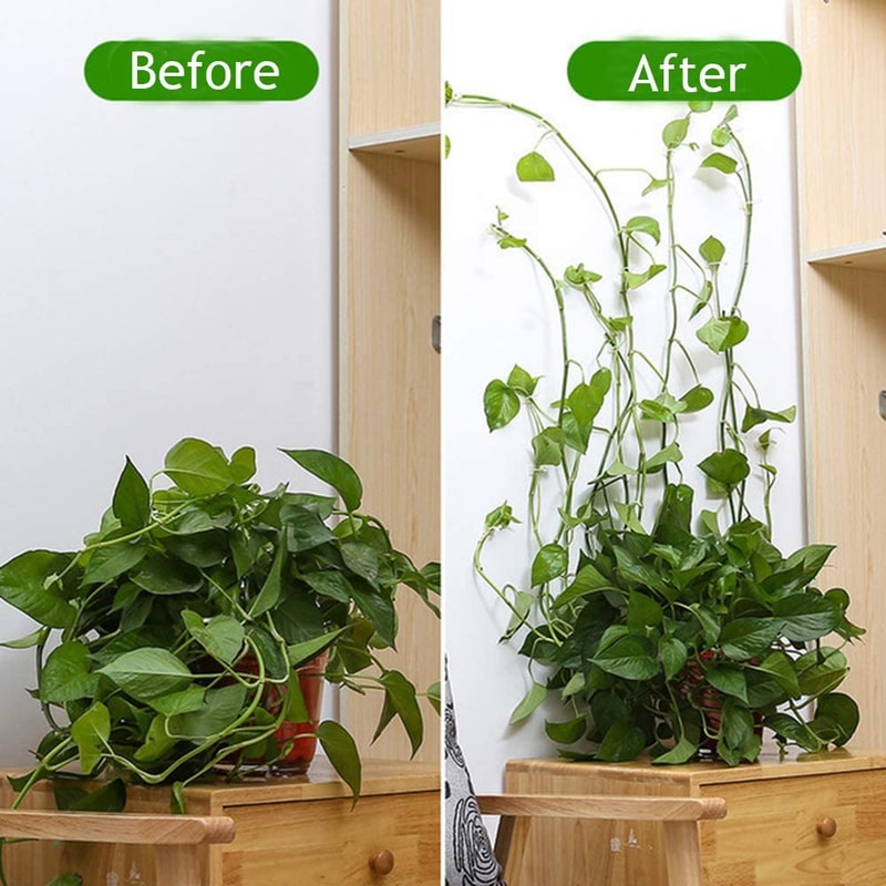 plantclimbingwallfixture4