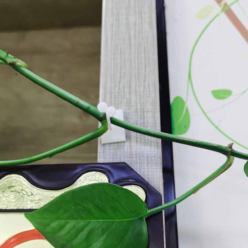 plantclimbingwallfixture6