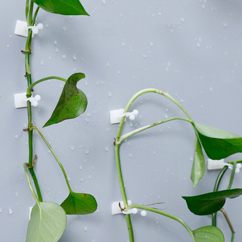 plantclimbingwallfixture7