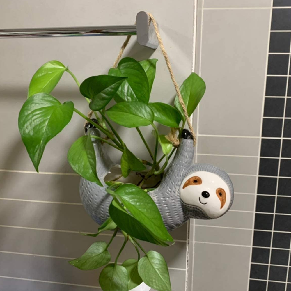 Sloth Hanging Planter For Succulents & Indoor Plants 2